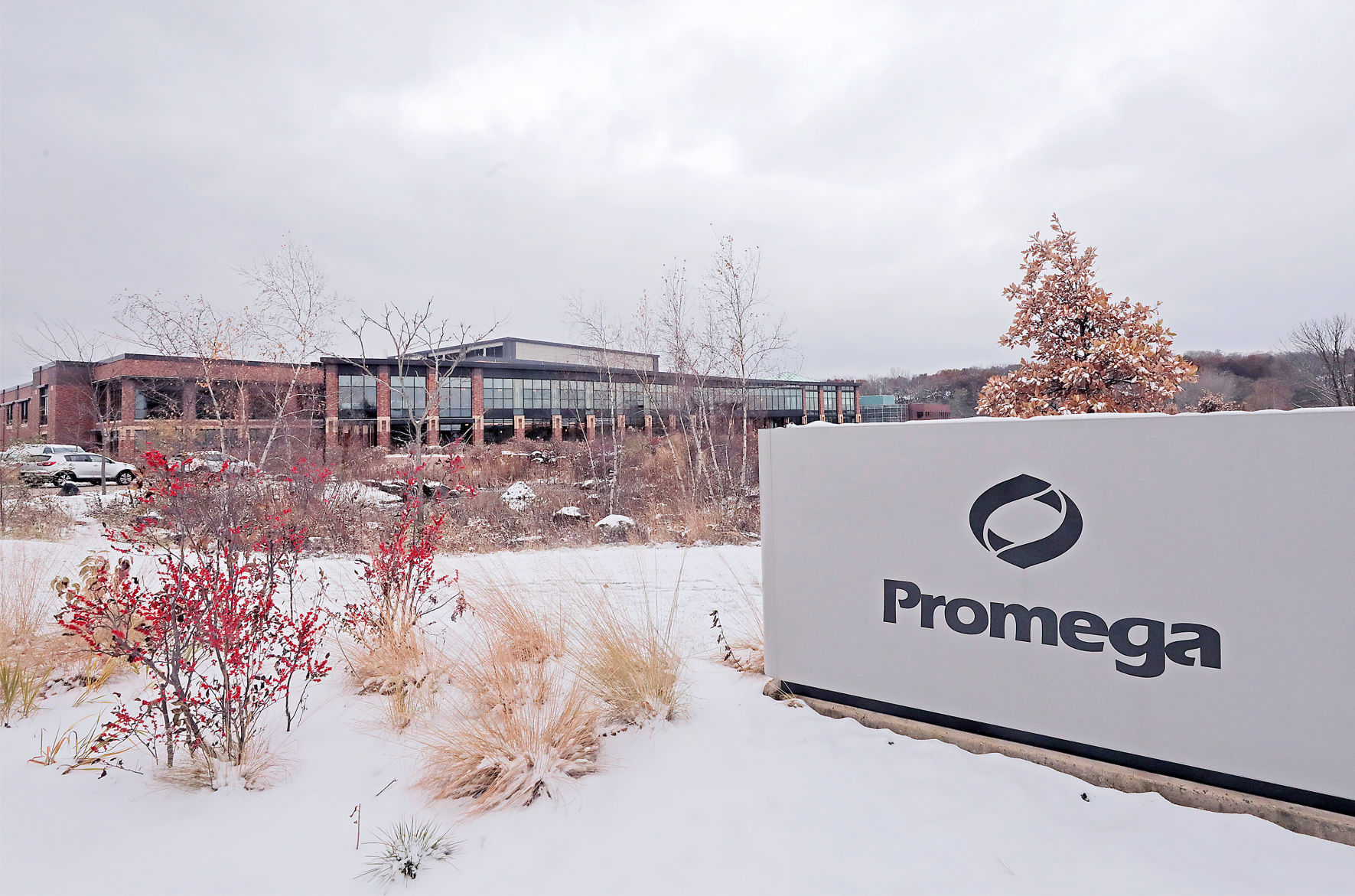 Promega